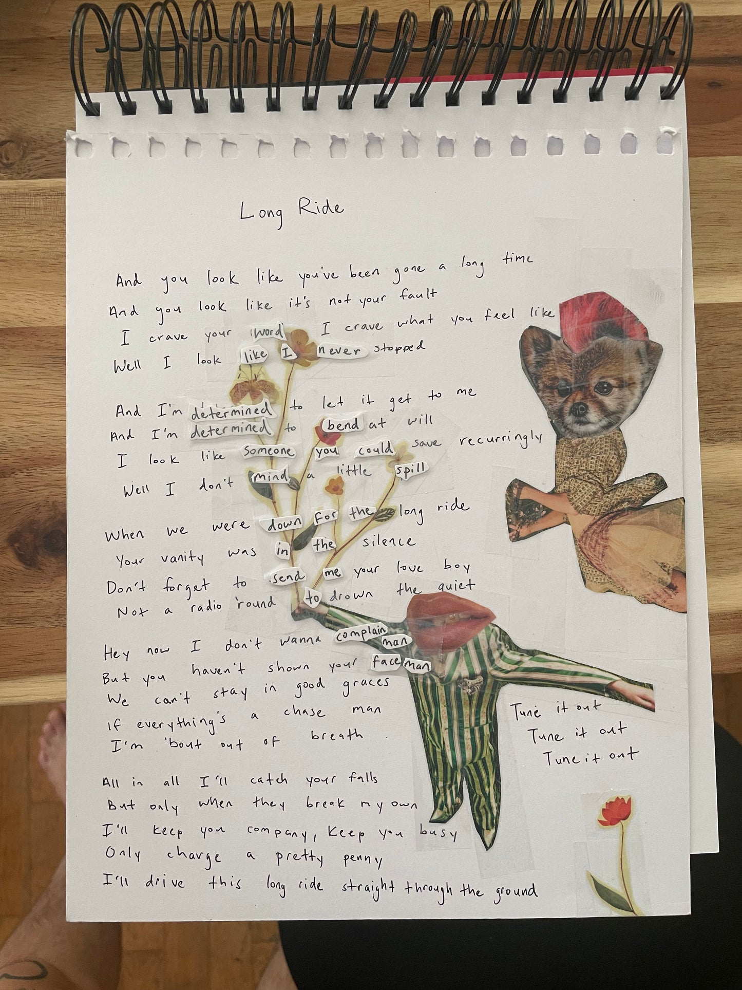 Skating Polly Lyric Sheet