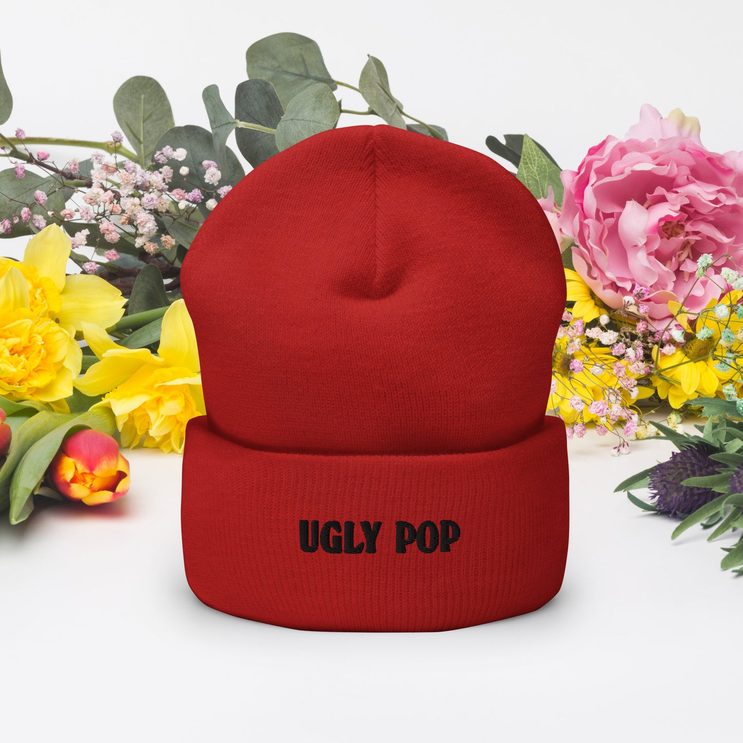 Ugly Pop Cuffed Beanie